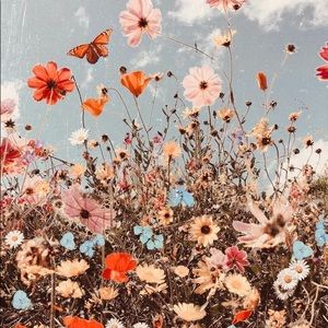 Meet your Posher, Mariam